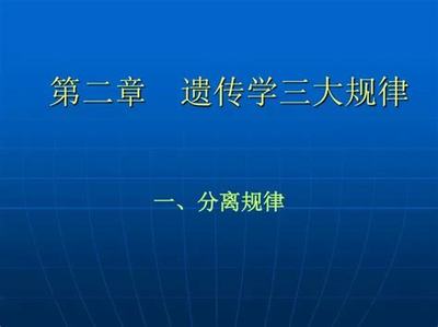 網絡游戲投資與網絡技術研究 虛擬世界中的財富機遇