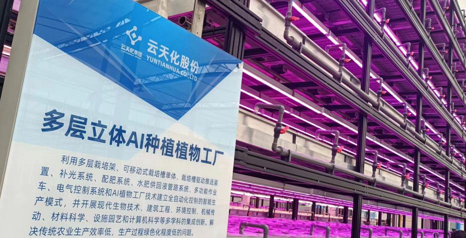 有一種叫云南的生活 | “遇見云花·邂逅彩虹”網(wǎng)絡(luò)大V走進(jìn)云天化